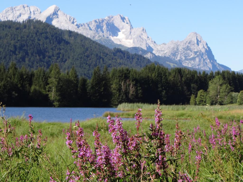 Haus Rustikana Lägenhet Mittenwald Exteriör bild